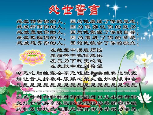 kaiyun官方网站:塑封机的组装示意图(塑封机拆卸组装图)